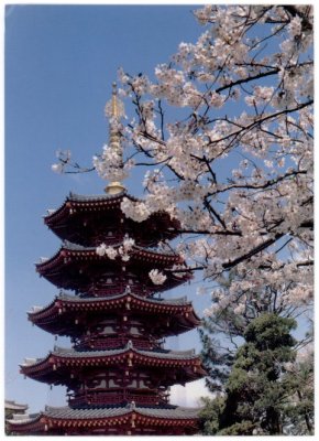 postcard_4
