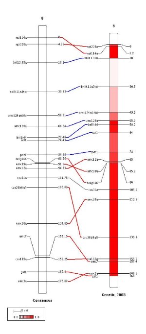 fig4.jpg