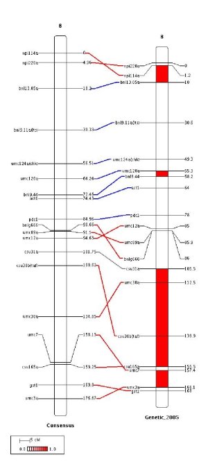 fig5.jpg