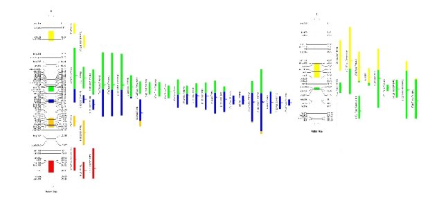 fig6.jpg