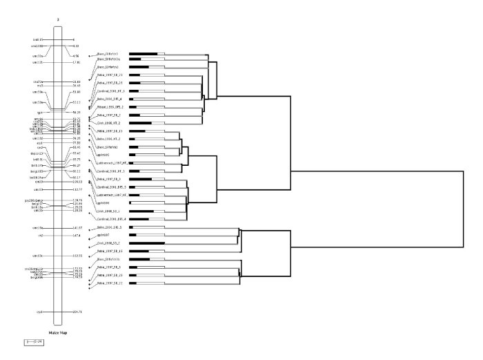 fig8.jpg