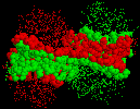 Young proteins in love