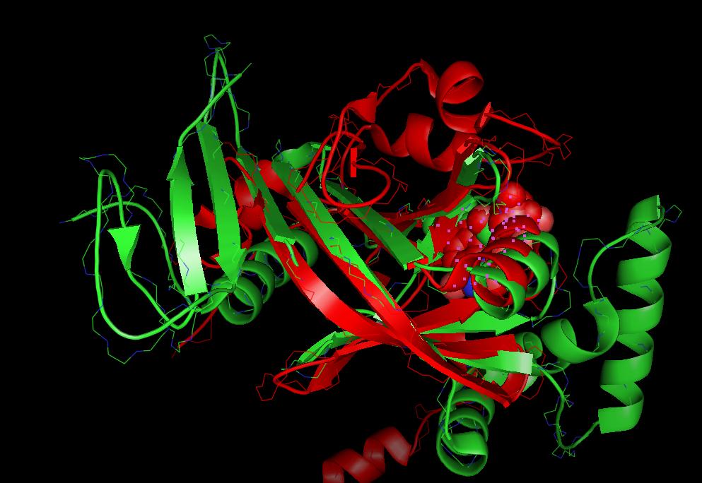 superimposed proteins