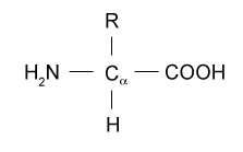 General Formula of amino acid is given below. State the influence of pH in the nature of amino acid.