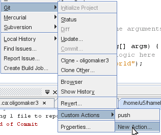 File:Customaction.png