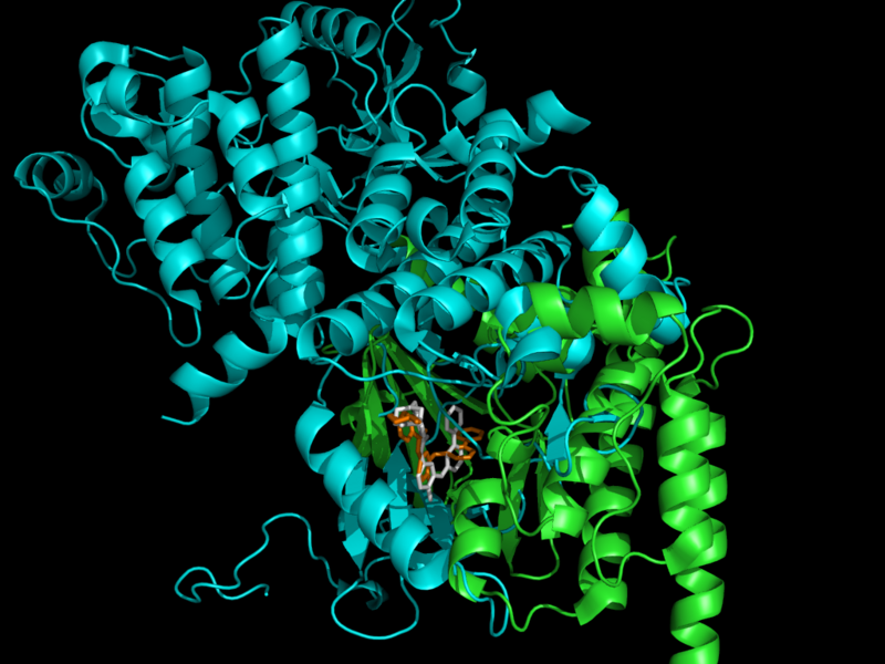 File:1xbb proteins.png