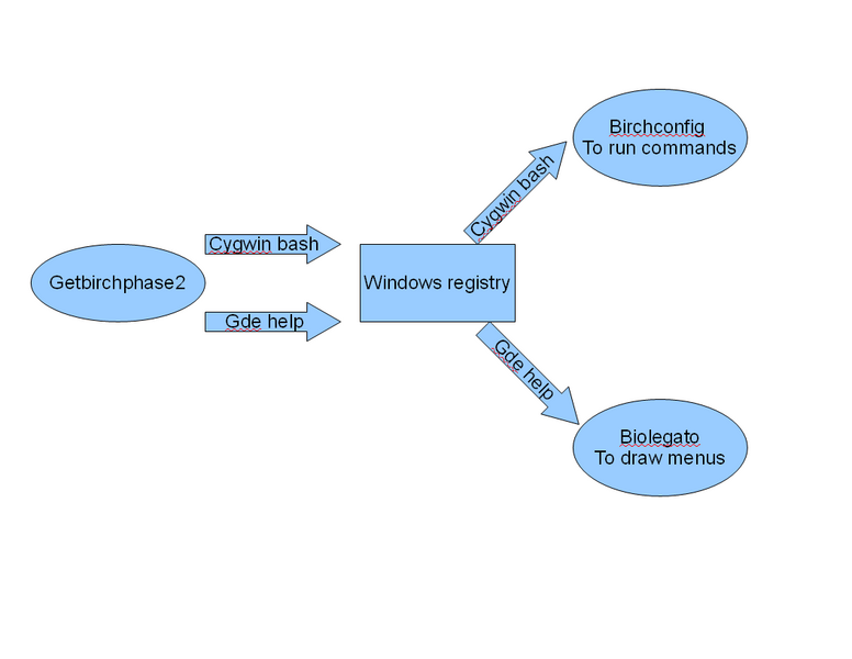 File:Birch registry.png